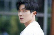 明星爆料刘昊然鹿晗视频,揭秘两位当红小生的幕后故事