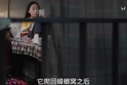 小汪姐姐爆料视频全集,揭秘娱乐圈不为人知的秘密
