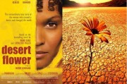 沙漠之花在线观看,勇敢女性的奋斗与自由之旅