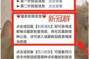苗原最新爆料蓉城,蓉城风云再起，揭秘蓉城背后惊人真相