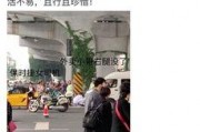 外卖小哥成都爆料视频,揭秘外卖行业背后的辛酸与挑战