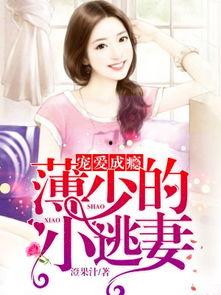 娱乐吃瓜酱妻子小说阅读,妻子背后的爱情故事